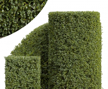 Modern Shrubbery-ID:746366021