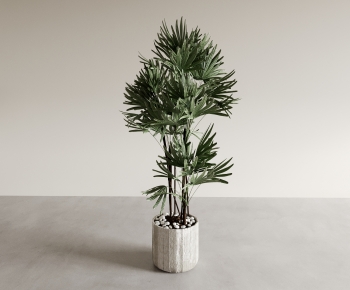 Modern Ground Green Plant Potted Plants-ID:695909022