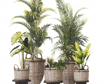 Modern Ground Green Plant Potted Plants-ID:337692029