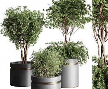 Modern Ground Green Plant Potted Plants-ID:955307962