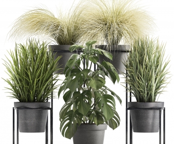 Modern Potted Green Plant-ID:752940232