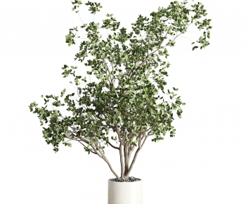 Modern Ground Green Plant Potted Plants-ID:204710015