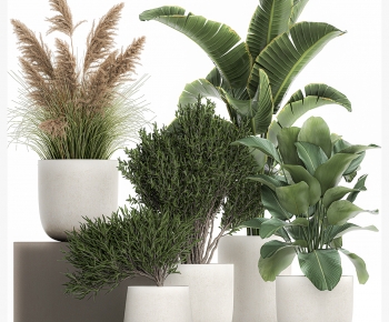 Modern Potted Green Plant-ID:334424978