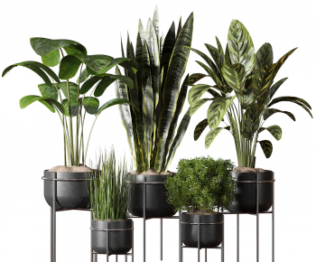 Modern Potted Green Plant-ID:902003059