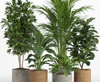 Modern Ground Green Plant Potted Plants-ID:374629023