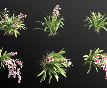 Modern Flowers And Grass-ID:393085007