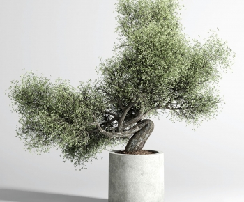 New Chinese Style Bonsai-ID:943401103