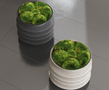 Modern Potted Green Plant-ID:767174965