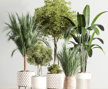 Modern Ground Green Plant Potted Plants-ID:755685094