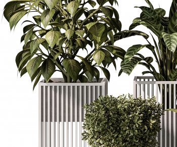 Modern Ground Green Plant Potted Plants-ID:855679998