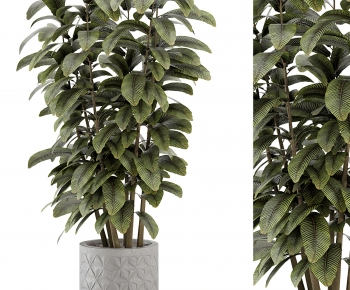 Modern Ground Green Plant Potted Plants-ID:753948939