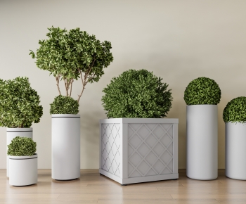 Modern Ground Green Plant Potted Plants-ID:763679983