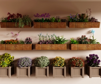 Modern Flower Bed, Flower Bowl, Flower Box-ID:829242946