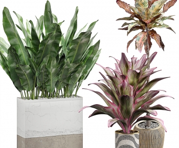 Modern Ground Green Plant Potted Plants-ID:861927033