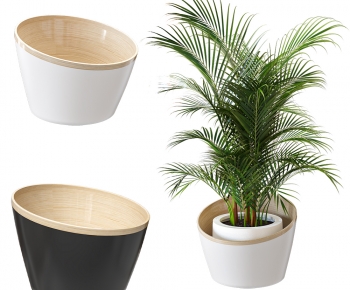 Modern Potted Green Plant-ID:312309989