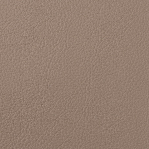 ModernFine Grain Leather