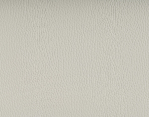 ModernFine Grain Leather