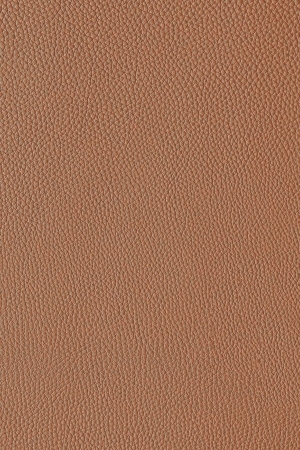 ModernFine Grain Leather