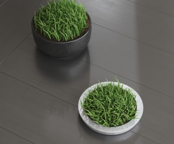 Modern Potted Green Plant-ID:653960749