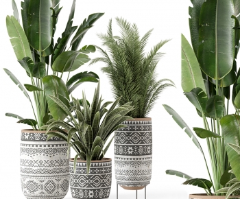 Modern Ground Green Plant Potted Plants-ID:941839939