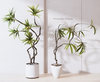 Modern Ground Green Plant Potted Plants-ID:876286035