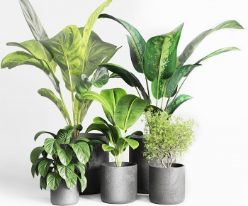 Modern Ground Green Plant Potted Plants-ID:907162905