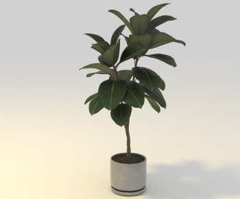 Modern Ground Green Plant Potted Plants-ID:130651952