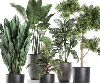 Modern Ground Green Plant Potted Plants-ID:128154046