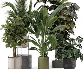 Modern Ground Green Plant Potted Plants-ID:844089989