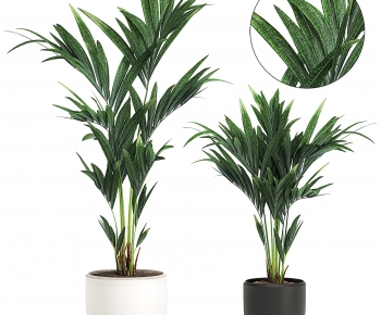 Modern Ground Green Plant Potted Plants-ID:548923973