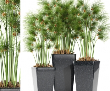 Modern Ground Green Plant Potted Plants-ID:148242002