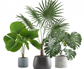 Modern Ground Green Plant Potted Plants-ID:976449979