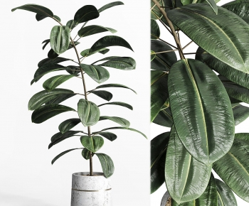 Modern Ground Green Plant Potted Plants-ID:324238066