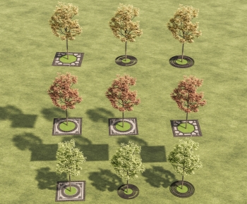 Modern Tree-ID:376773128