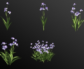 Modern Flowers And Grass-ID:687994964