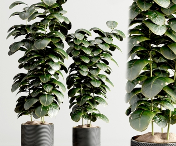 Modern Ground Green Plant Potted Plants-ID:976471907