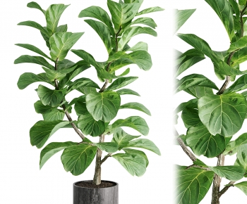 Modern Ground Green Plant Potted Plants-ID:189306973