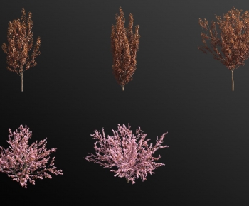Modern Tree-ID:574510198