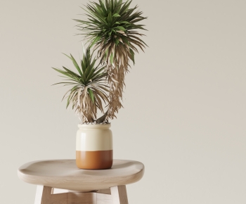 Modern Desktop Plant-ID:146752124