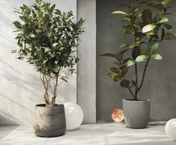 Modern Ground Green Plant Potted Plants-ID:205743071