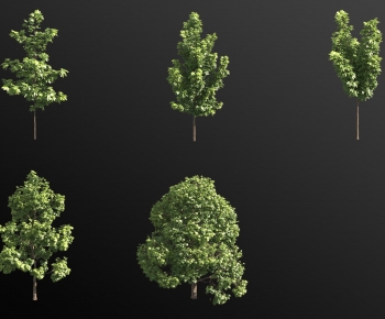 Modern Tree-ID:322026018