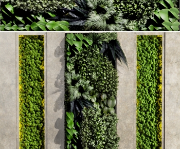 Modern Plant Wall-ID:356482036