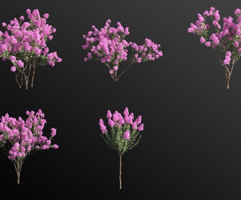 Modern Tree-ID:404917002