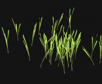 Modern The Grass-ID:375128039