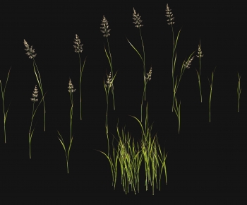 Modern The Grass-ID:965194945