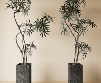 Modern Ground Green Plant Potted Plants-ID:424045096