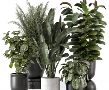 Modern Ground Green Plant Potted Plants-ID:671272043