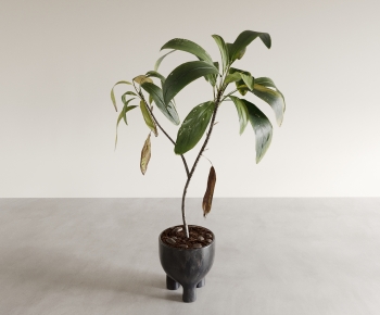 Modern Ground Green Plant Potted Plants-ID:266417989