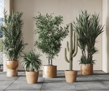 Modern Ground Green Plant Potted Plants-ID:282942067