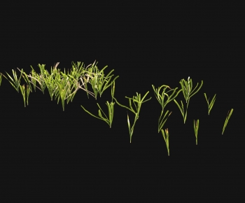 Modern The Grass-ID:928503042